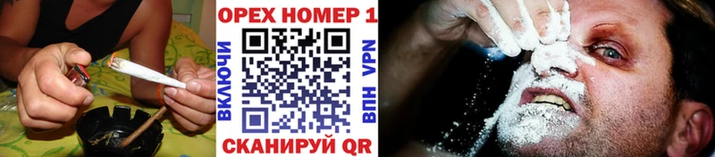 OMG как войти  Карачев  Cocaine Эквадор 