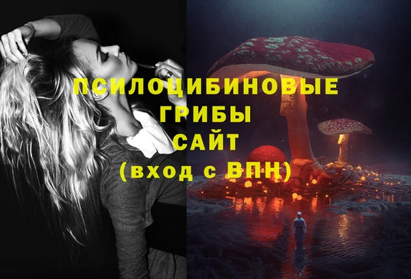 эйфоретик Алзамай