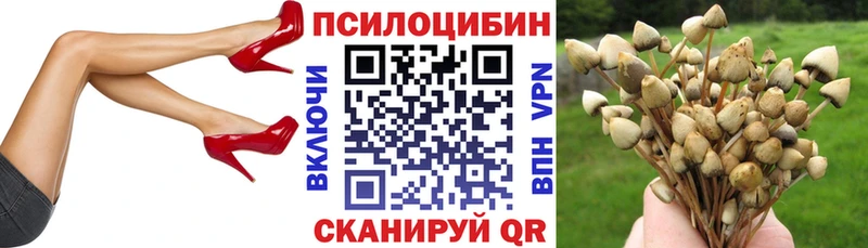 где найти наркотики  hydra tor  Галлюциногенные грибы мицелий  Карачев 